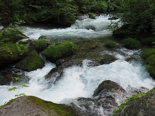 49308207348_716e6f8989.jpg