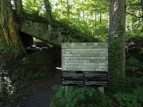 49308207398_5aa8418663.jpg