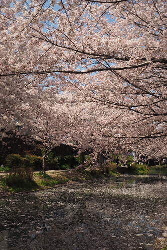52009801025_60c09785eb.jpg