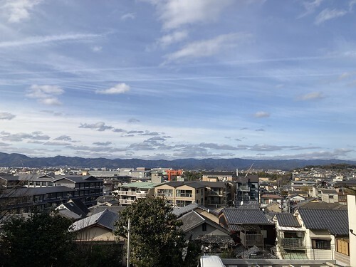 53527545542_88ccd4457d.jpg