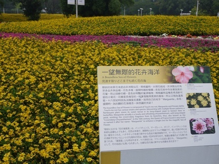 HANA3.jpg