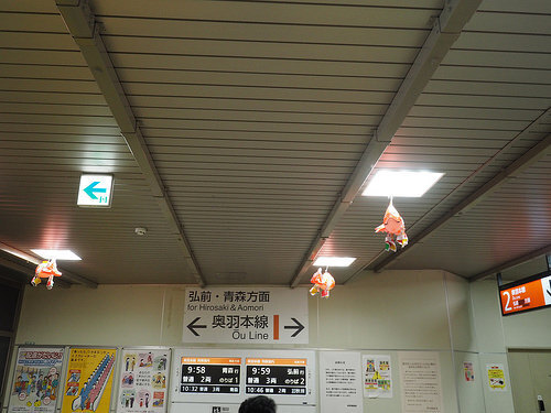 aomorinoria.jpg