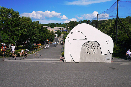 asahidobo3.jpg