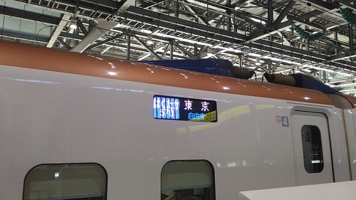 hakutaka1.jpg