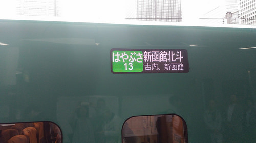 haya2.jpg