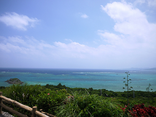 hirakubo79.jpg