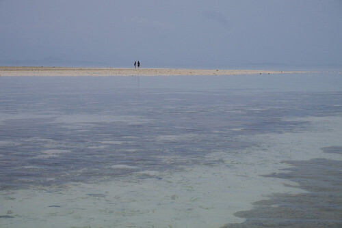 kaijiha1.jpg