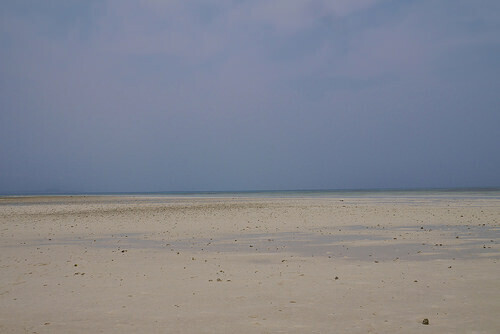 kaijiha2.jpg