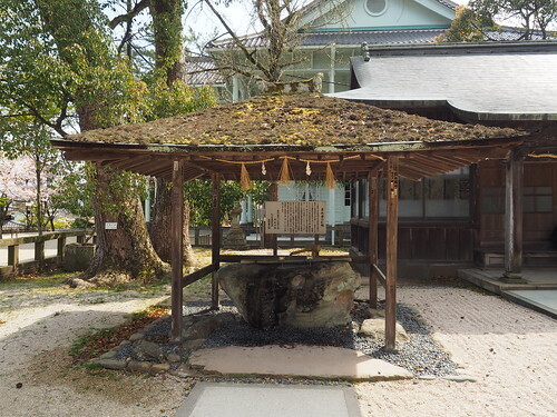 matujintesu.jpg