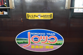 norokko1.jpg
