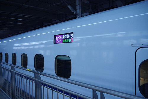 sakura555.jpg