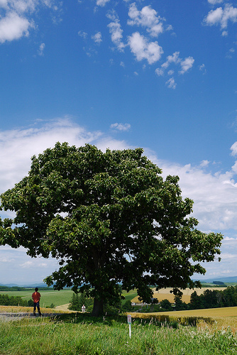 sebunsuta.jpg