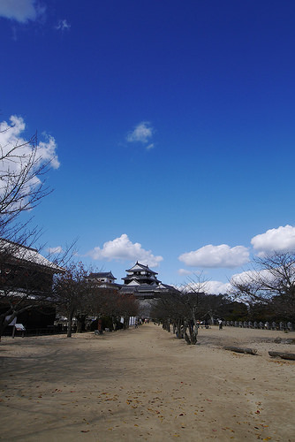 siro22.jpg