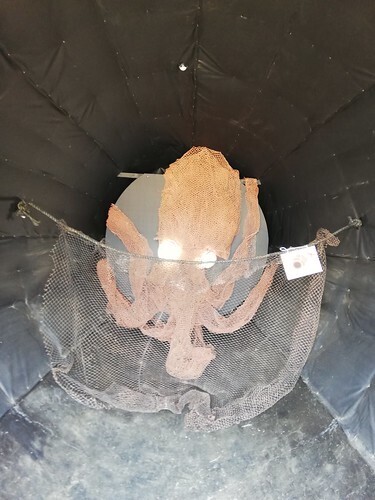 takotubo3022.jpg