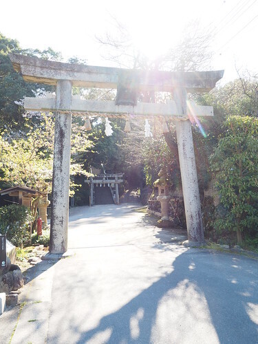 tamatukuriyu3.jpg