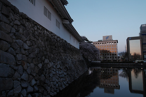 toyamajo1.jpg